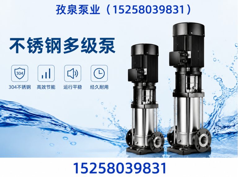 瑞安市立式多级离心泵展示图